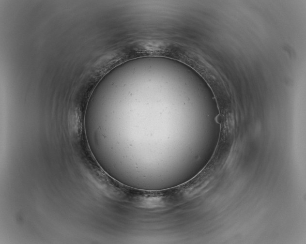 X0000113170651200909041322