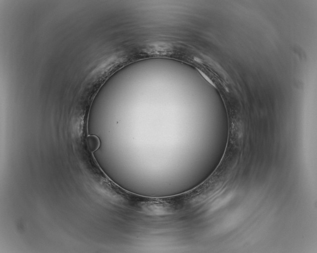 X0000113170652200909041322