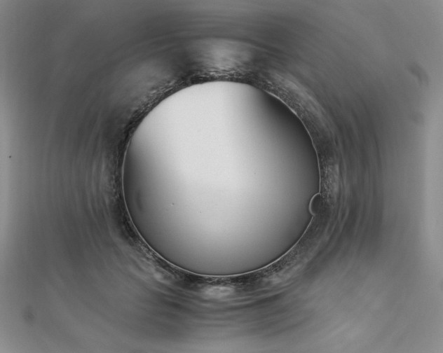 X0000113170653200909041322