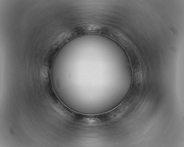 X0000113170654200909041322