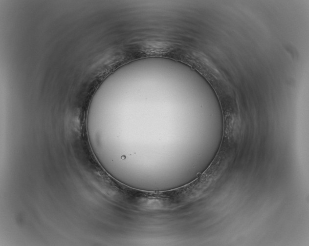 X0000113170655200909041322