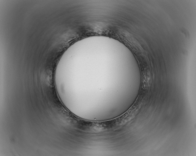X0000113170656200909041322