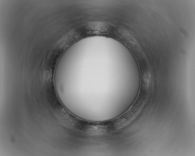 X0000113170657200909041322