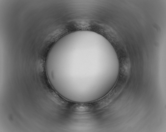 X0000113170658200909041323