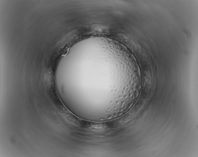 X0000113170659200909041323