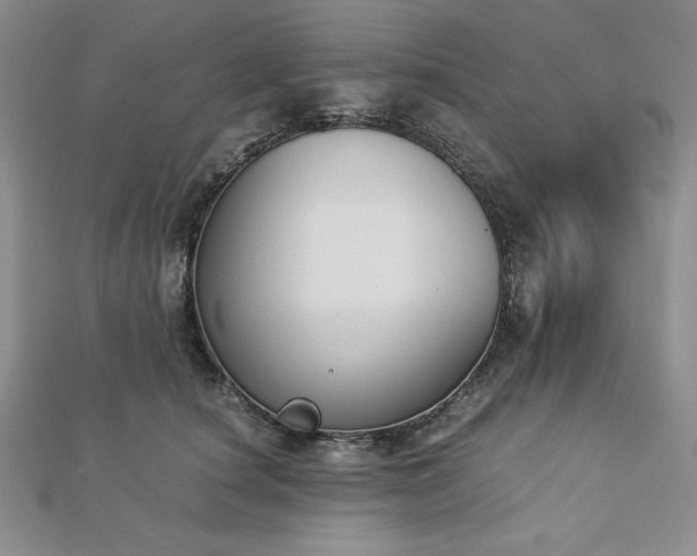 X0000113170660200909041323