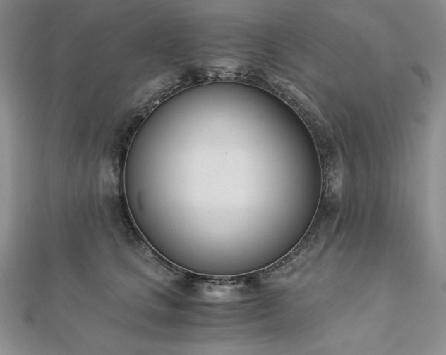 X0000113170661200909041323