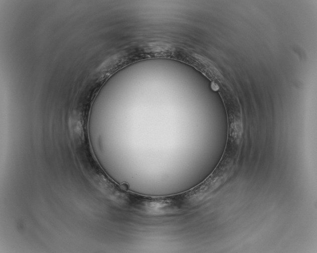 X0000113170662200909041323