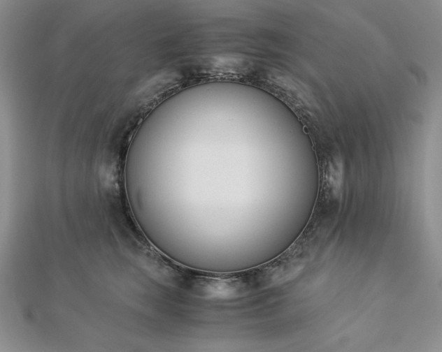 X0000113170663200909041323