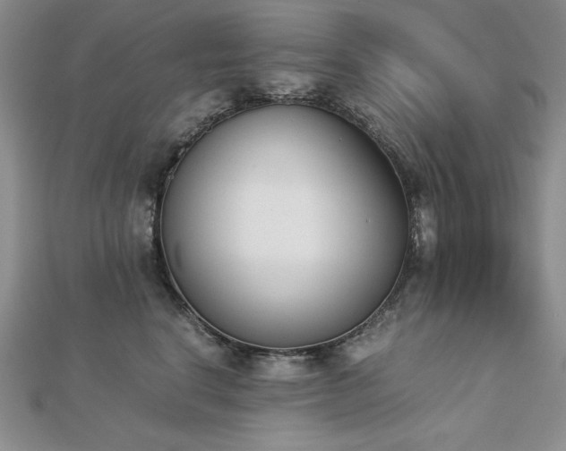 X0000113170664200909041323