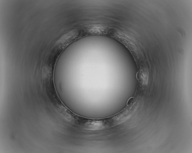 X0000113170665200909041323