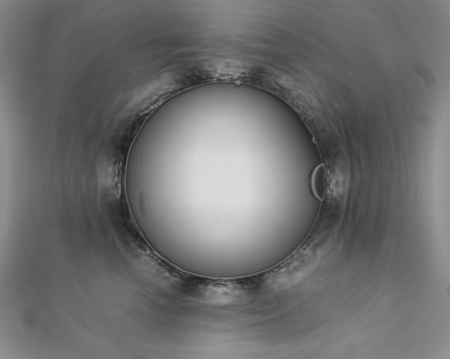 X0000113170666200909041323