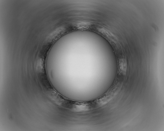 X0000113170667200909041323