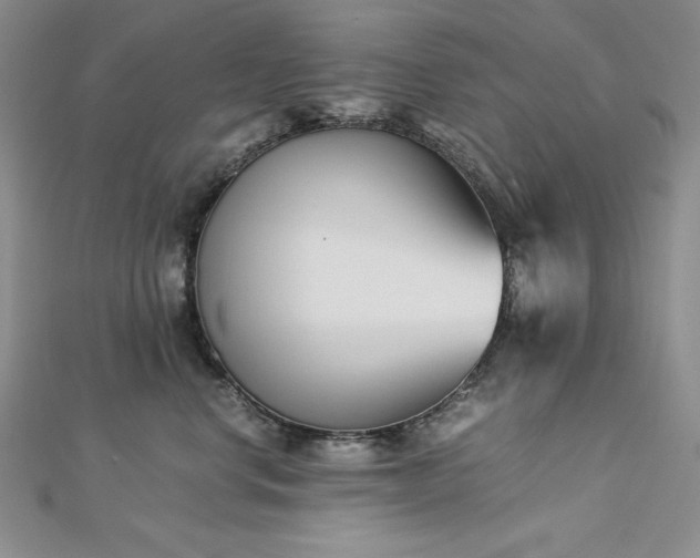 X0000113170668200909041323
