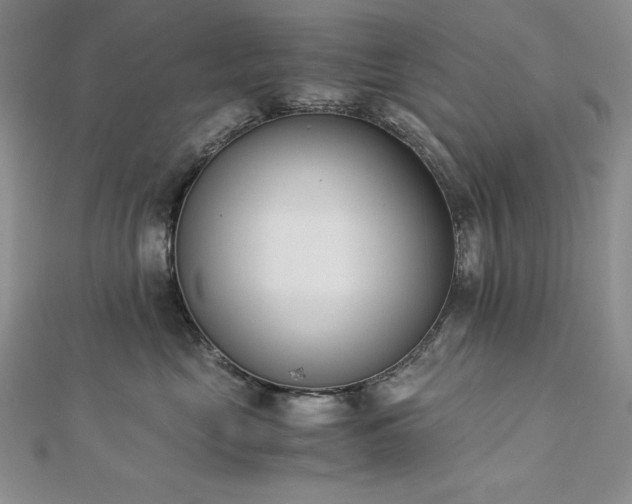 X0000113170669200909041323