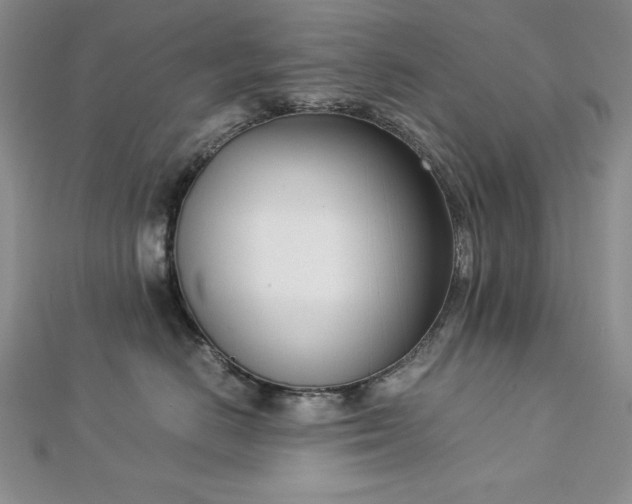 X0000113170670200909041323