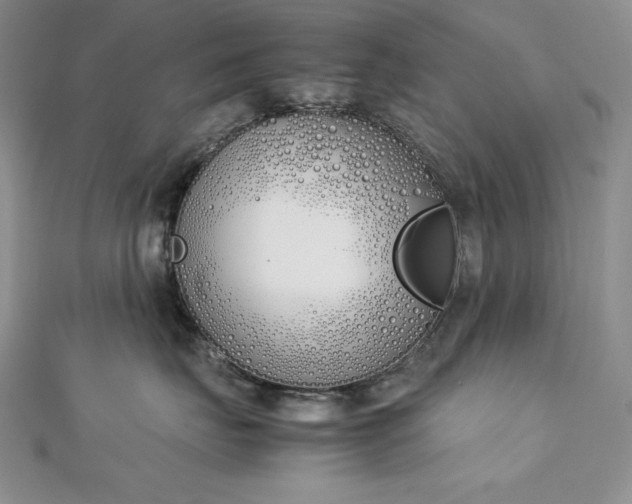 X0000113170671200909041323