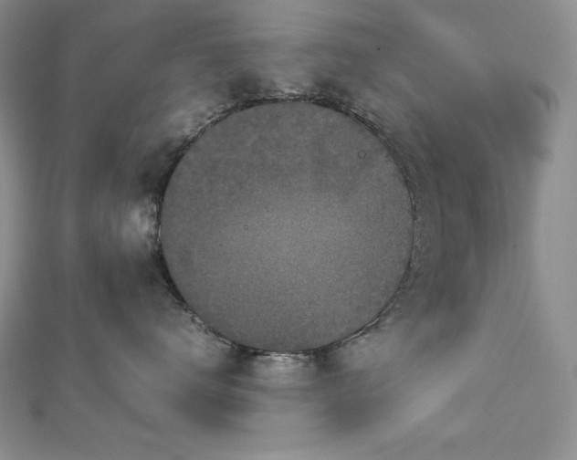 X0000113170672200909041323