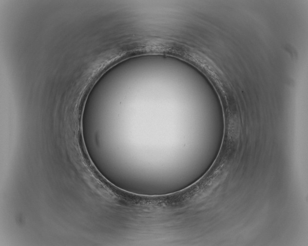 X0000113170673200909041322