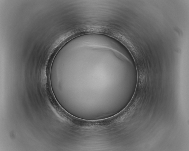 X0000113170674200909041322
