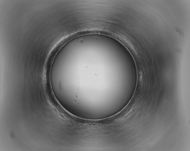 X0000113170676200909041322
