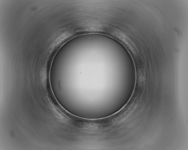 X0000113170677200909041322