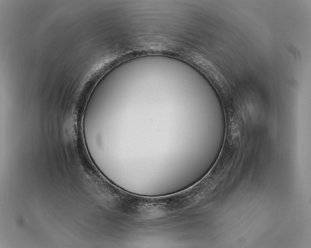 X0000113170680200909041322