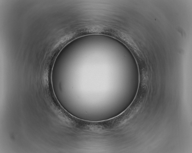 X0000113170681200909041322