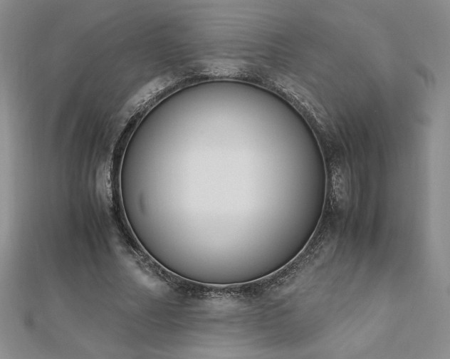 X0000113170682200909041322