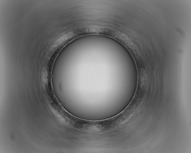 X0000113170683200909041322