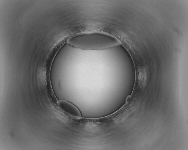 X0000113170684200909041322