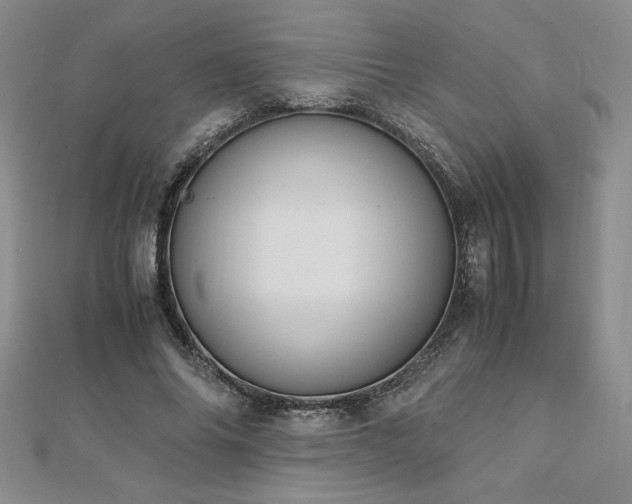 X0000113170686200909041322