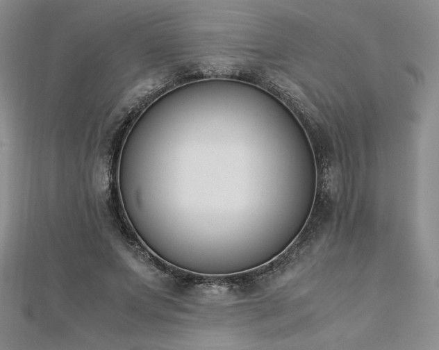 X0000113170687200909041322