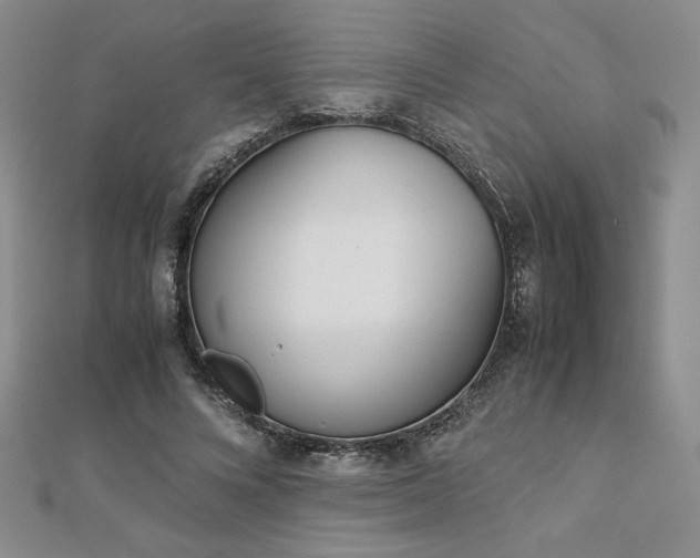 X0000113170688200909041322