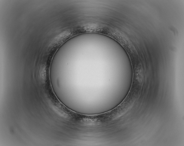 X0000113170690200909041322