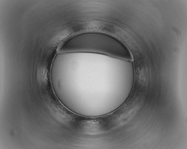 X0000113170692200909041322
