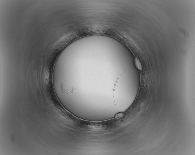 X0000113170693200909041322