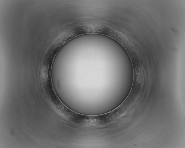 X0000113170695200909041322