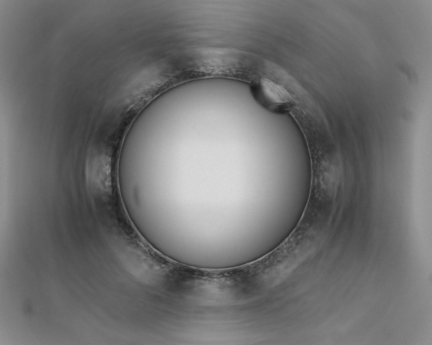 X0000113170696200909041322