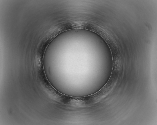 X0000113170699200909041322