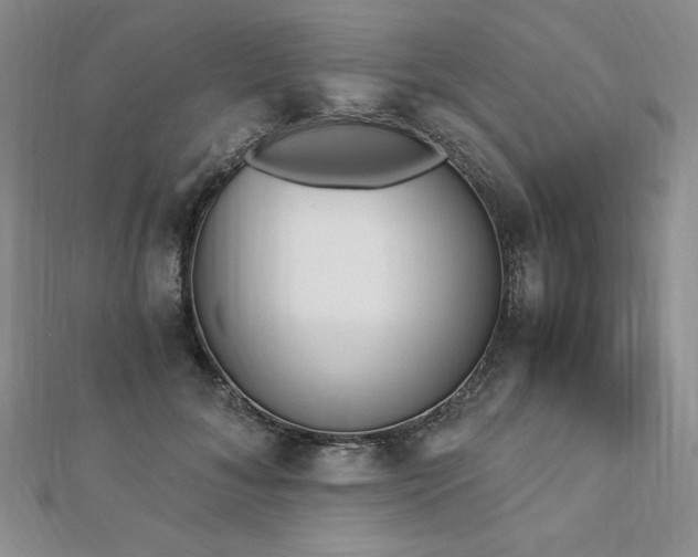 X0000113170700200909041322