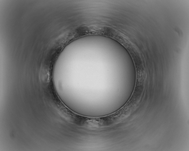 X0000113170703200909041322