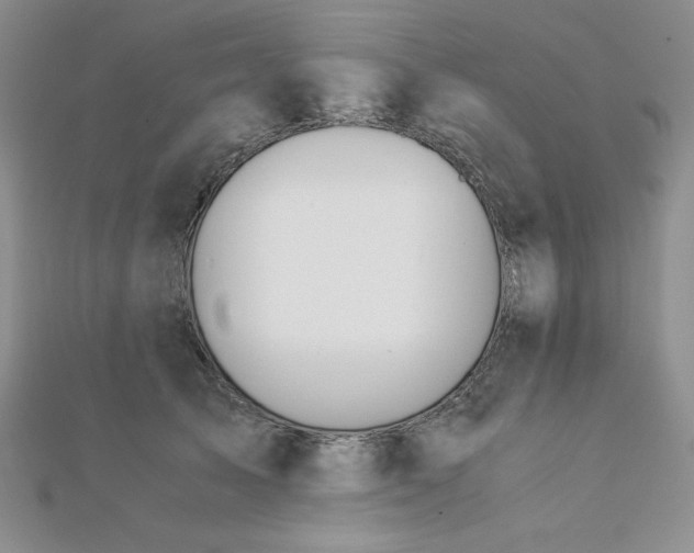 X0000113170705200909041322
