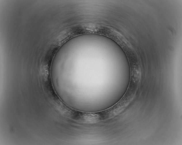 X0000113170707200909041322