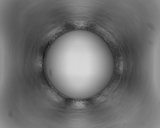X0000113170710200909041322