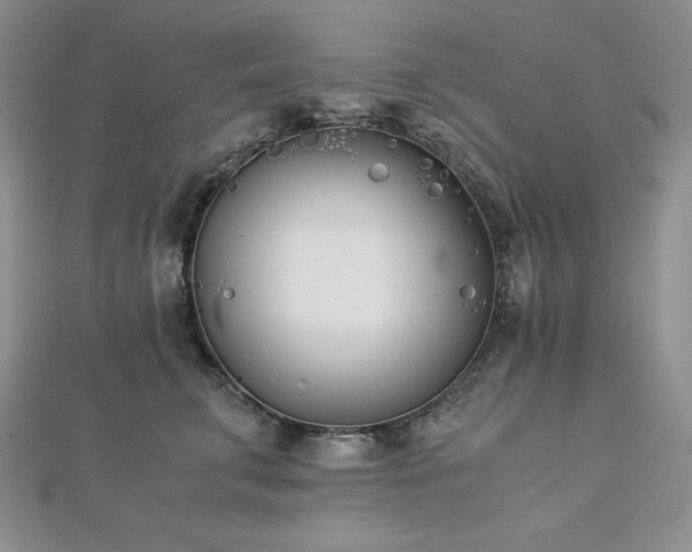 X0000113170711200909041322