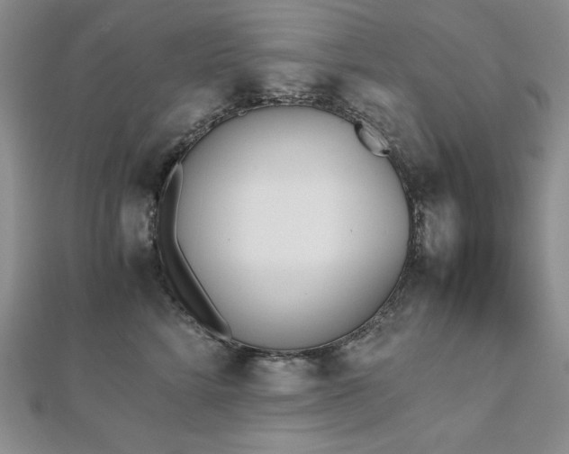 X0000113170712200909041322
