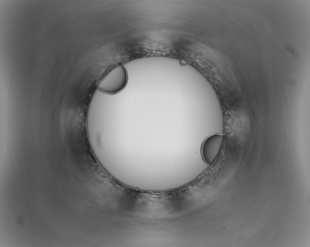 X0000113170713200909041322
