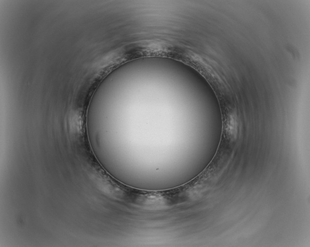 X0000113170715200909041322