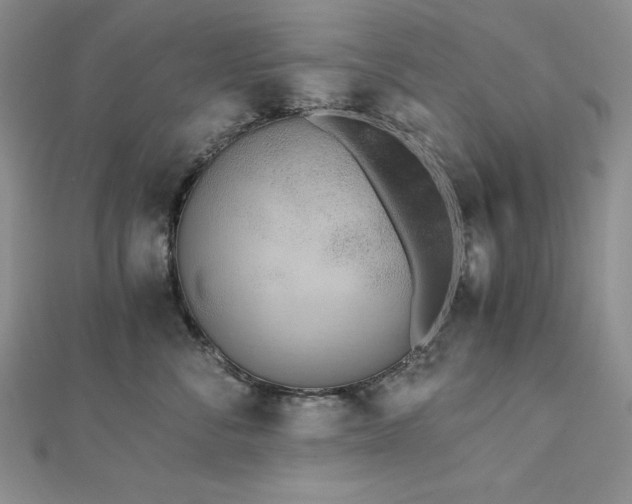 X0000113170716200909041322